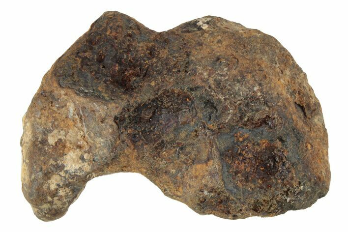 Agoudal Iron Meteorite ( grams) - Morocco #245616